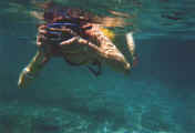 04-23-02 Darlena taking picture underwater.jpg (18342 bytes)