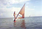 04-26-02 Darlena windsurf.jpg (16316 bytes)